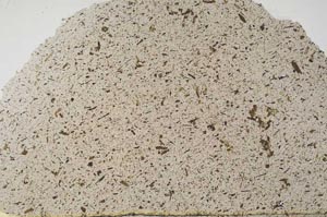 Plane Polarized, S54758