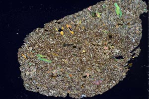 Cross Polarized, S54759