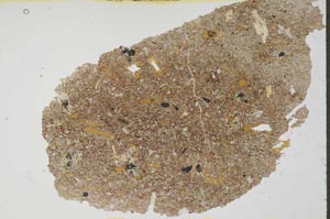 Plane Polarized, S54759