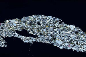 Cross Polarized, S54760