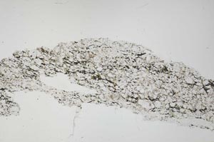 Plane Polarized, S54760