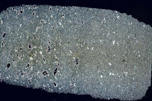 Cross Polarized, S54764