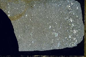 Cross Polarized, S54764/A