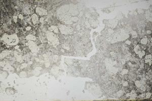 Plane Polarized, S54766