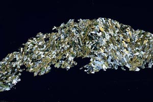 Cross Polarized, S54767