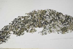 Plane Polarized, S54767