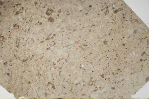 Plane Polarized, S54768