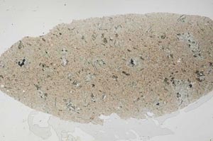 Plane Polarized, S54769