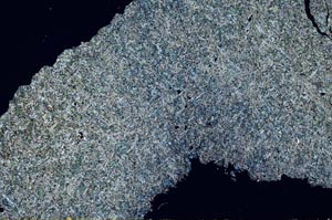 Cross Polarized, S54770