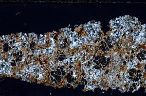 Cross Polarized, S54771