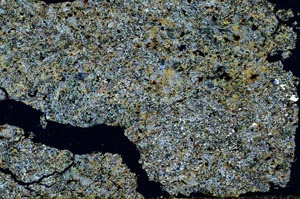 Cross Polarized, S54772