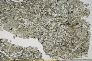 Plane Polarized, S54772