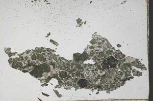 Plane Polarized, S54815