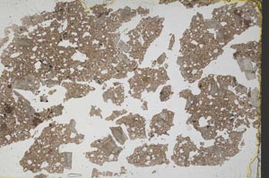 Plane Polarized, S54832