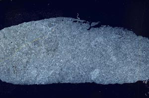 Cross Polarized, S54872