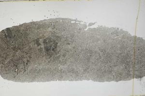 Plane Polarized, S54872