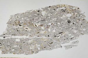 Plane Polarized, S54873