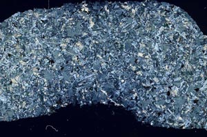 Cross Polarized, S54892