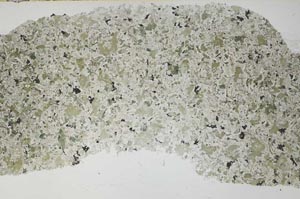 Plane Polarized, S54892