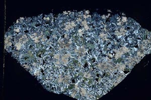 Cross Polarized, S54893