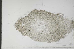 Plane Polarized, S54924