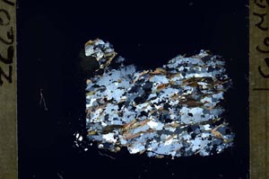 Cross Polarized, S54926