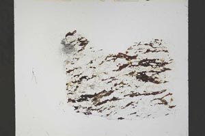 Plane Polarized, S54926