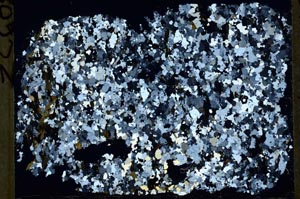 Cross Polarized, S54927