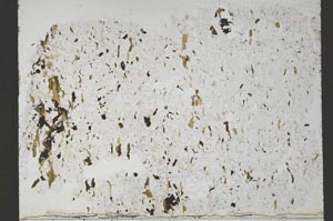 Plane Polarized, S54927