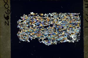 Cross Polarized, S54928