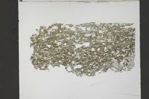 Plane Polarized, S54928