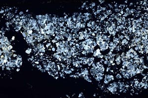 Cross Polarized, S54929