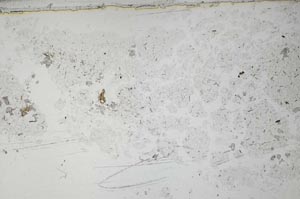 Plane Polarized, S54929