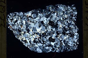 Cross Polarized, S54930