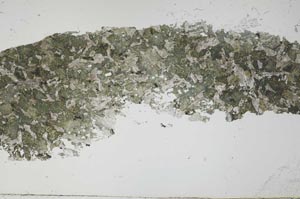 Plane Polarized, S54931