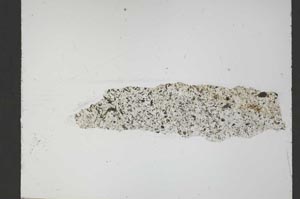 Plane Polarized, S54932