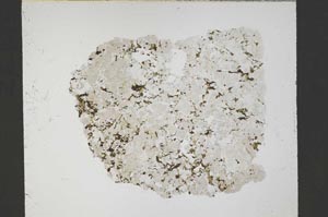 Plane Polarized, S54934