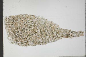 Plane Polarized, S54935