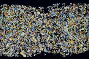 Cross Polarized, S54974