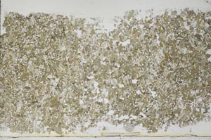 Plane Polarized, S54974