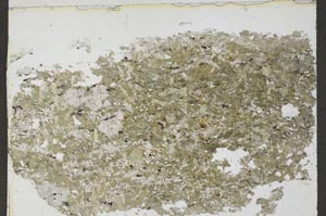 Plane Polarized, S54975