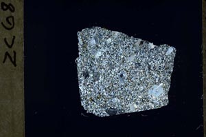 Cross Polarized, S54976