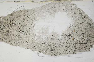 Plane Polarized, S54977