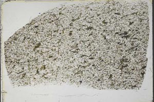 Plane Polarized, S54978