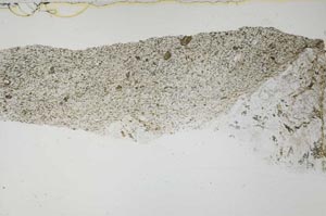 Plane Polarized, S54979