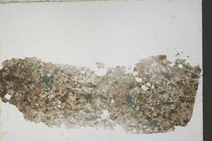 Plane Polarized, S54980