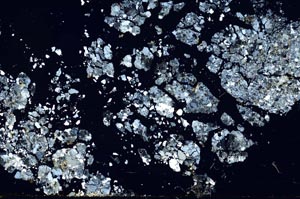 Cross Polarized, S54981