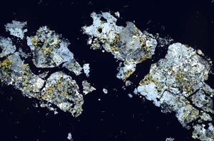 Cross Polarized, S54982