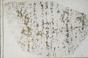 Plane Polarized, S54998