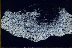 Cross Polarized, S55059